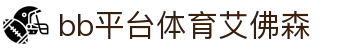 中国·BB贝博艾弗森(股份)有限公司-官方网站